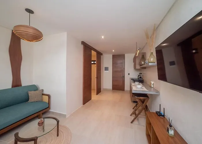 Apartment Loft Con Terraza