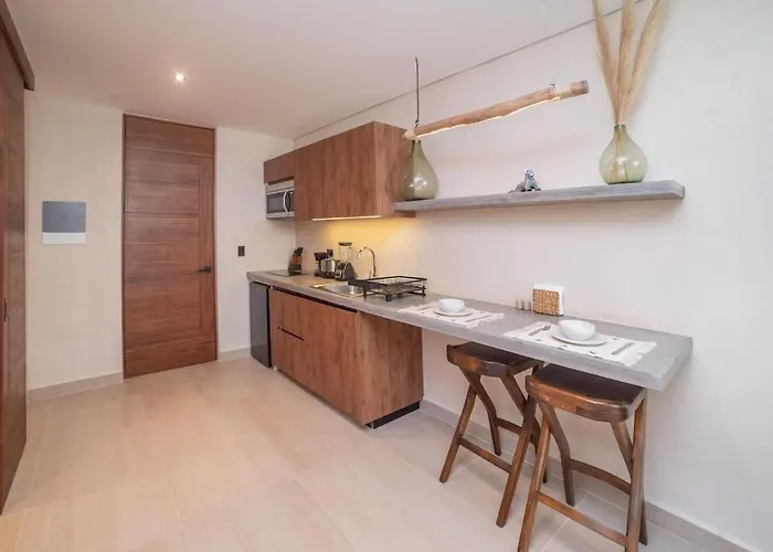 Loft Con Terraza Apartment