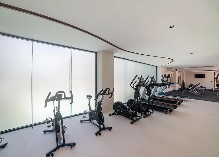 Loft Con Terraza Apartment *
